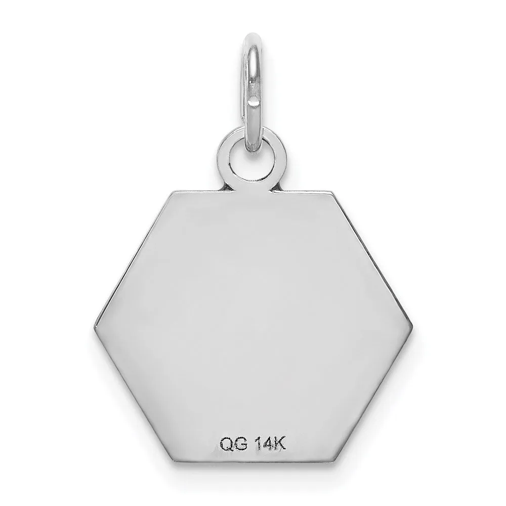 14k White Gold Red Enamel Medical Jewelry Pendant