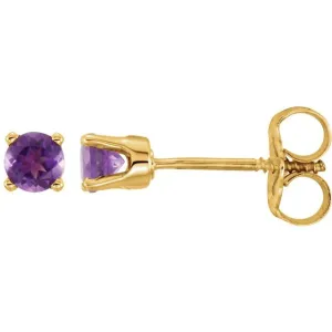 14K Yellow Gold Natural Amethyst Youth Earrings