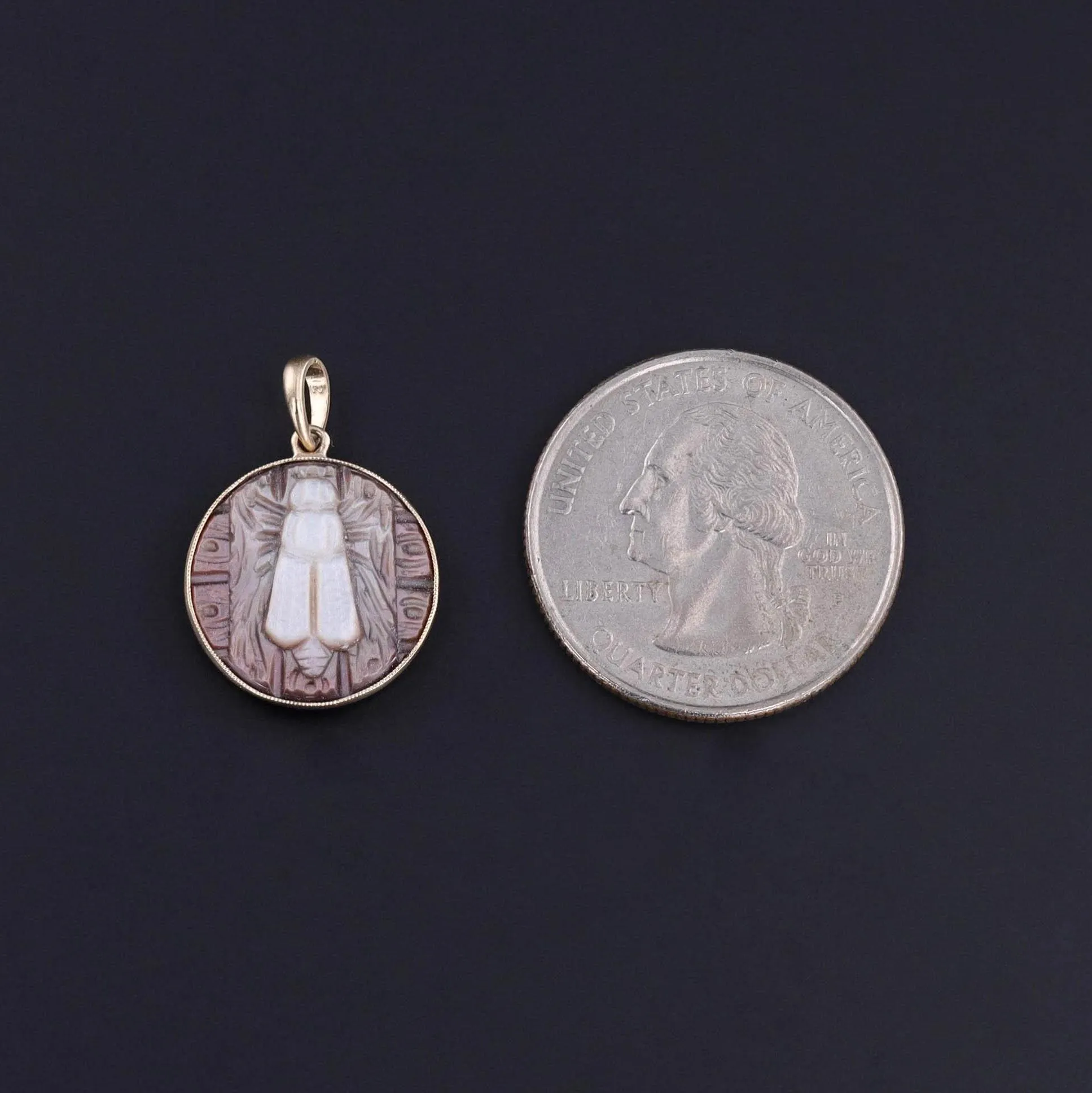 Antique Carved Mother of Pearl Fly Pendant
