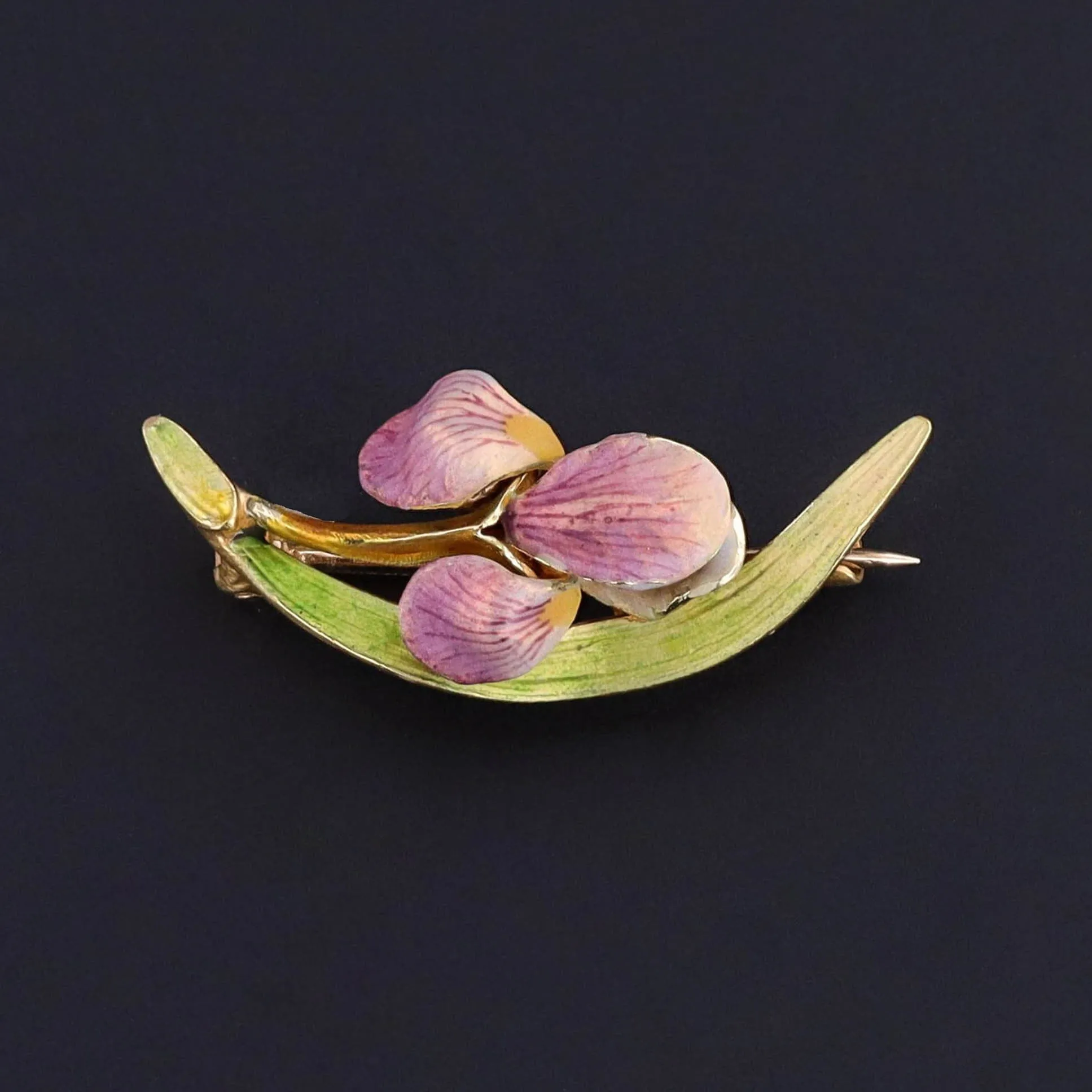 Antique Enamel Iris Brooch of 14k Gold