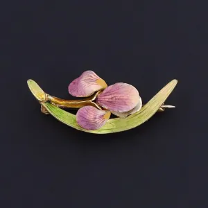 Antique Enamel Iris Brooch of 14k Gold