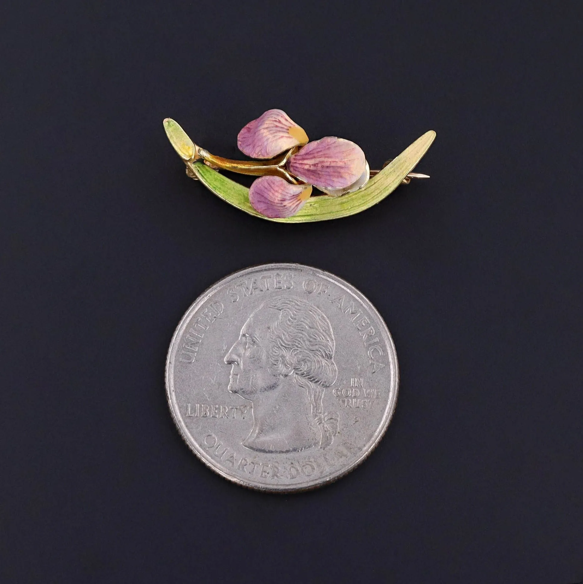 Antique Enamel Iris Brooch of 14k Gold