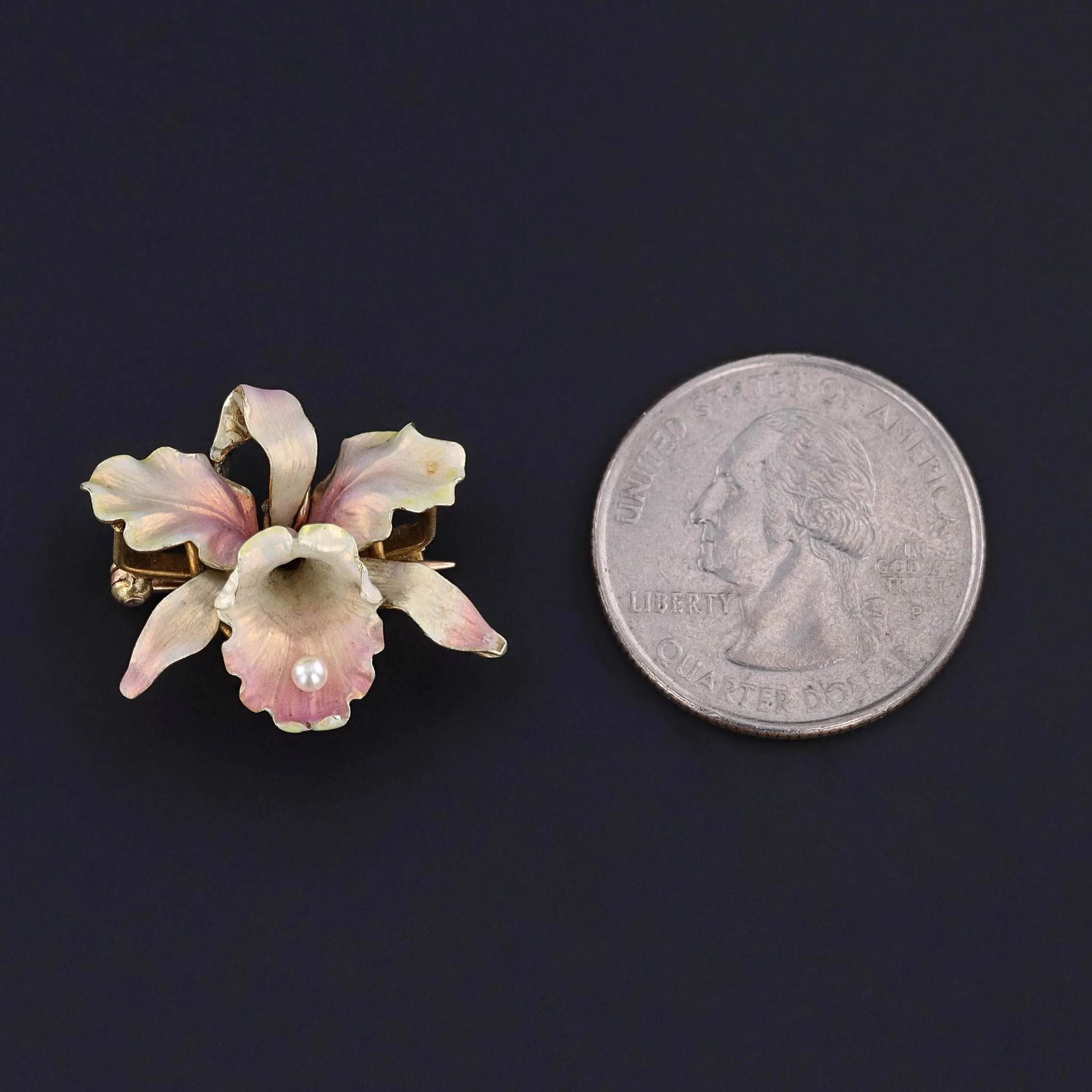 Antique Orchid Brooch of 14k Gold by Whiteside & Blank