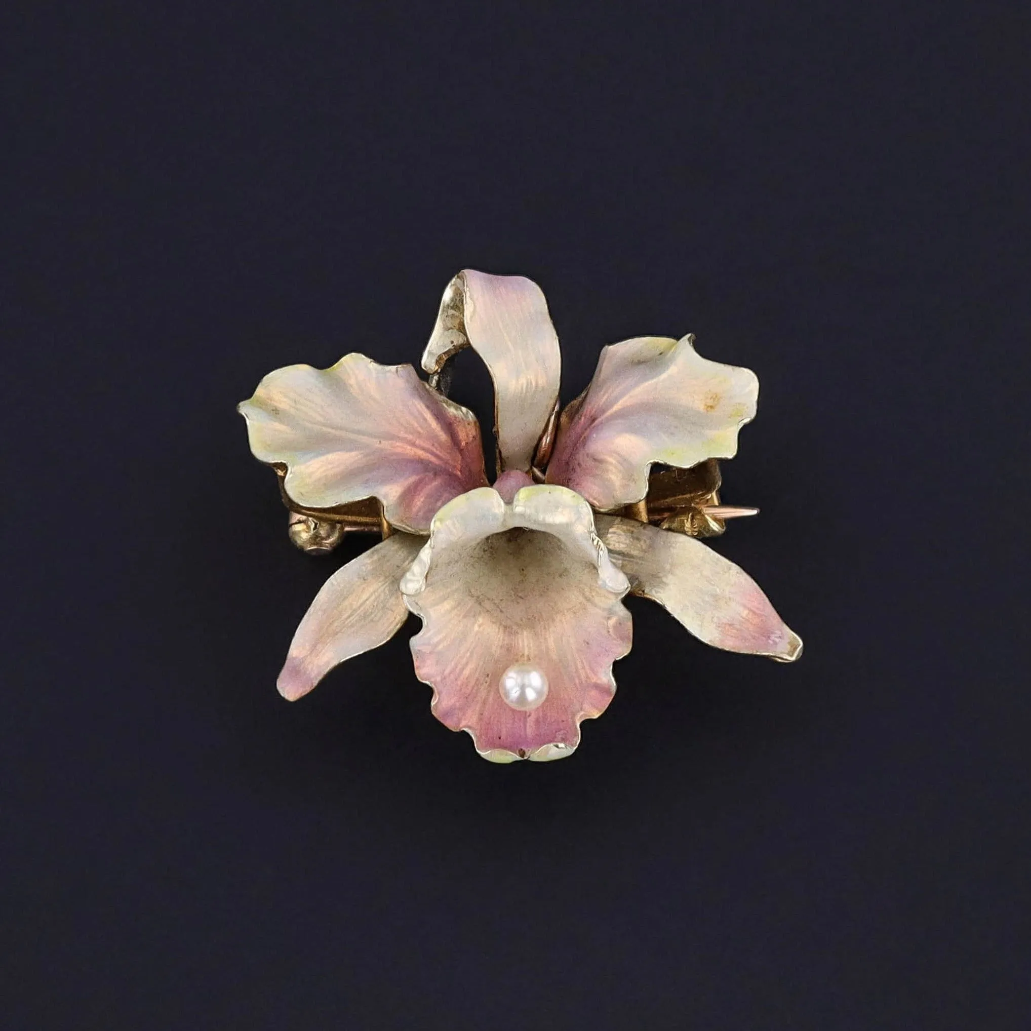 Antique Orchid Brooch of 14k Gold by Whiteside & Blank