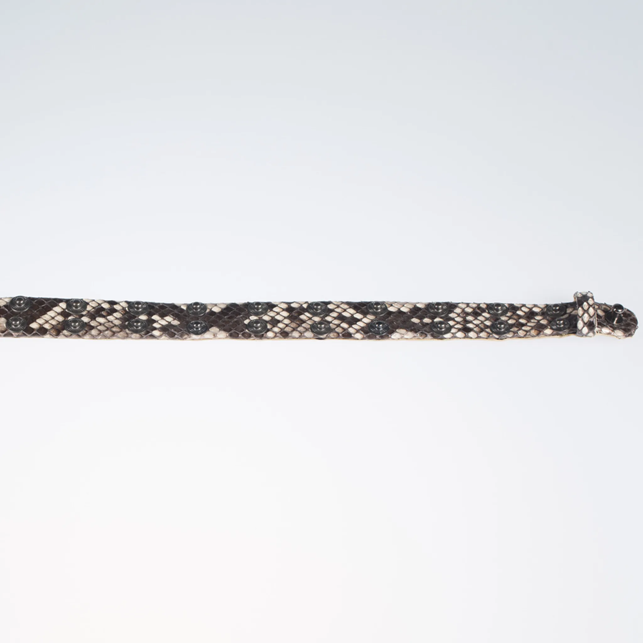 Christopher Augmon Python Exotic Nile Gunmetal Studded Adjustable Choker