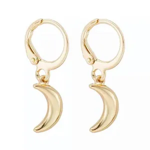Crescent Moon Dangle Earrings