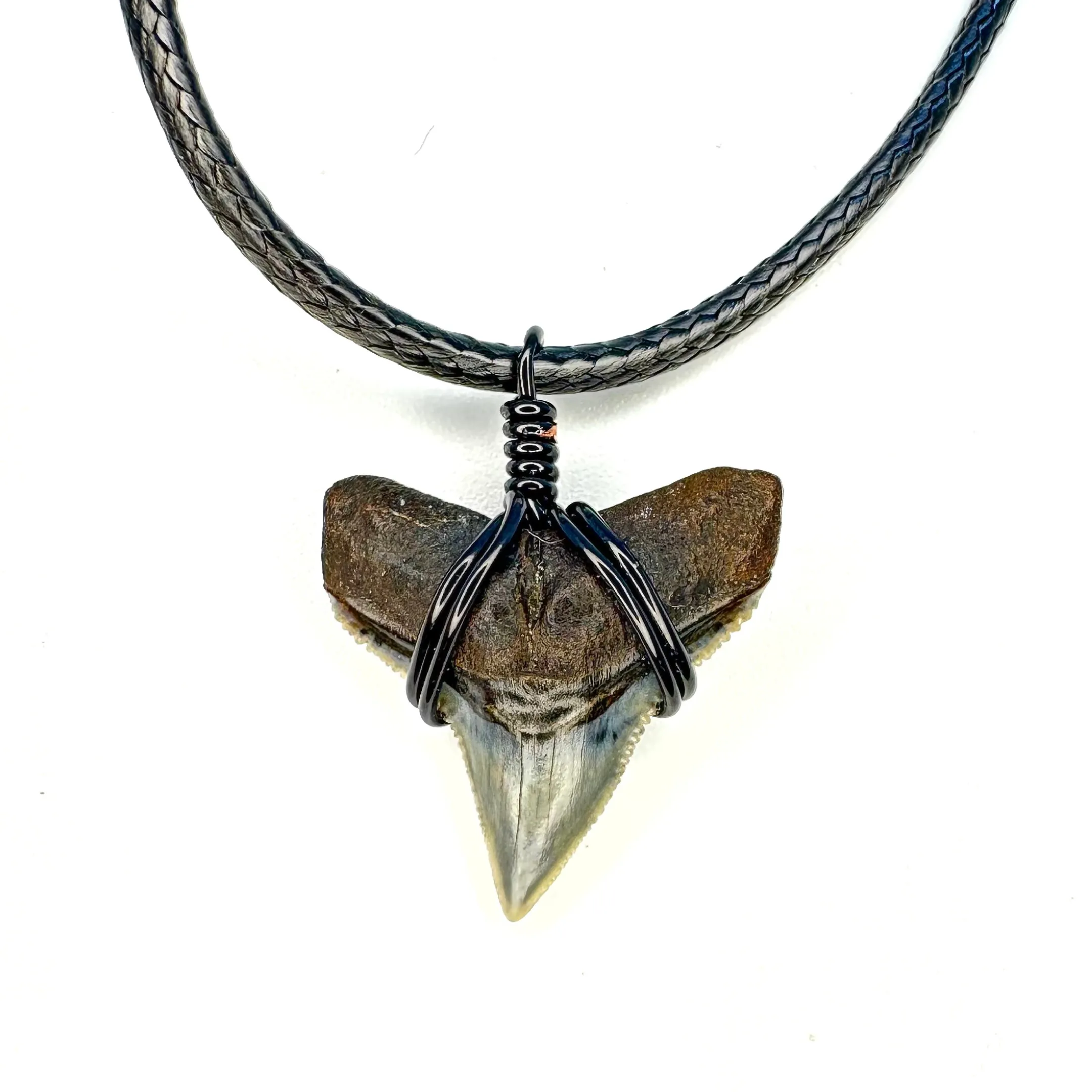 Ethically Sourced Shark Fossil Choker Necklace – Real Fossil Jewelry for Women