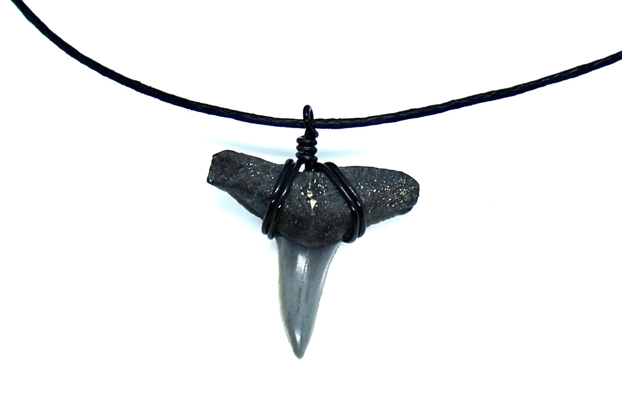 Ethically Sourced Shark Fossil Choker Necklace – Real Fossil Jewelry for Women