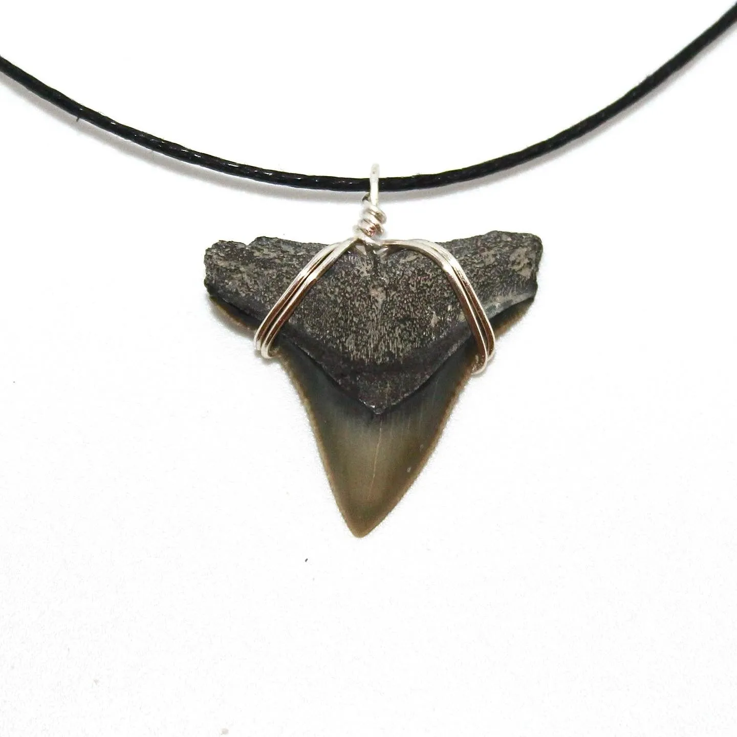 Ethically Sourced Shark Fossil Choker Necklace – Real Fossil Jewelry for Women