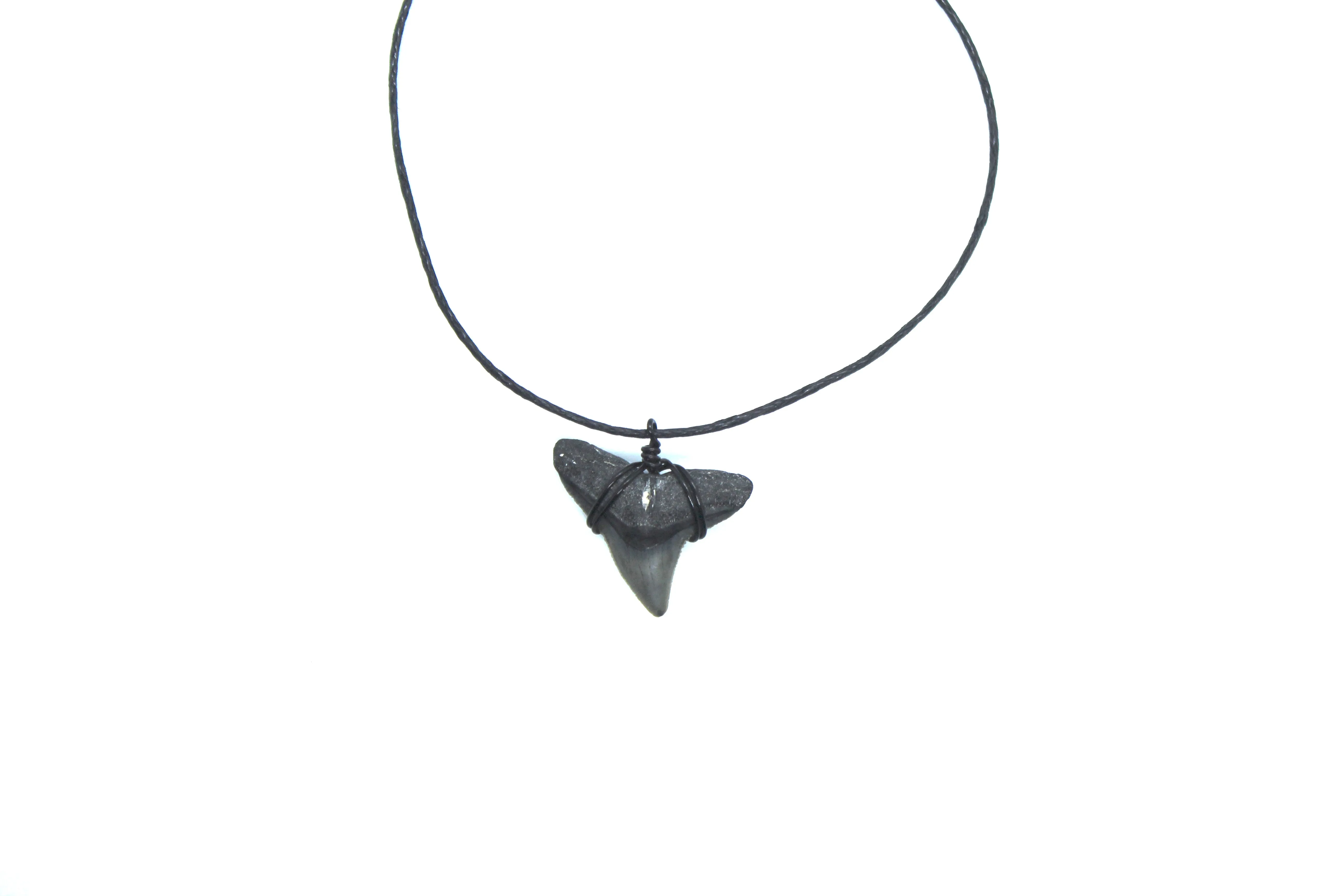 Ethically Sourced Shark Fossil Choker Necklace – Real Fossil Jewelry for Women
