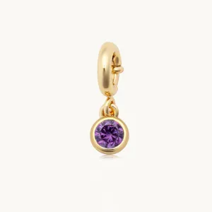 February Birthstone Charm