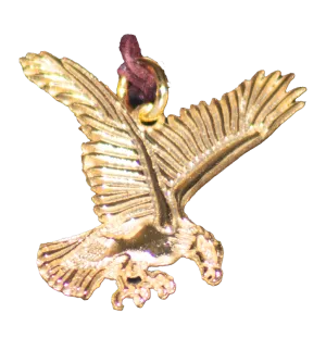 Jewelry - Eagle Charm