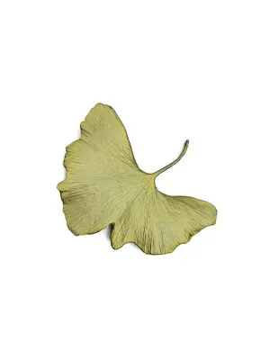 Michael Michaud: Ginkgo Brooch