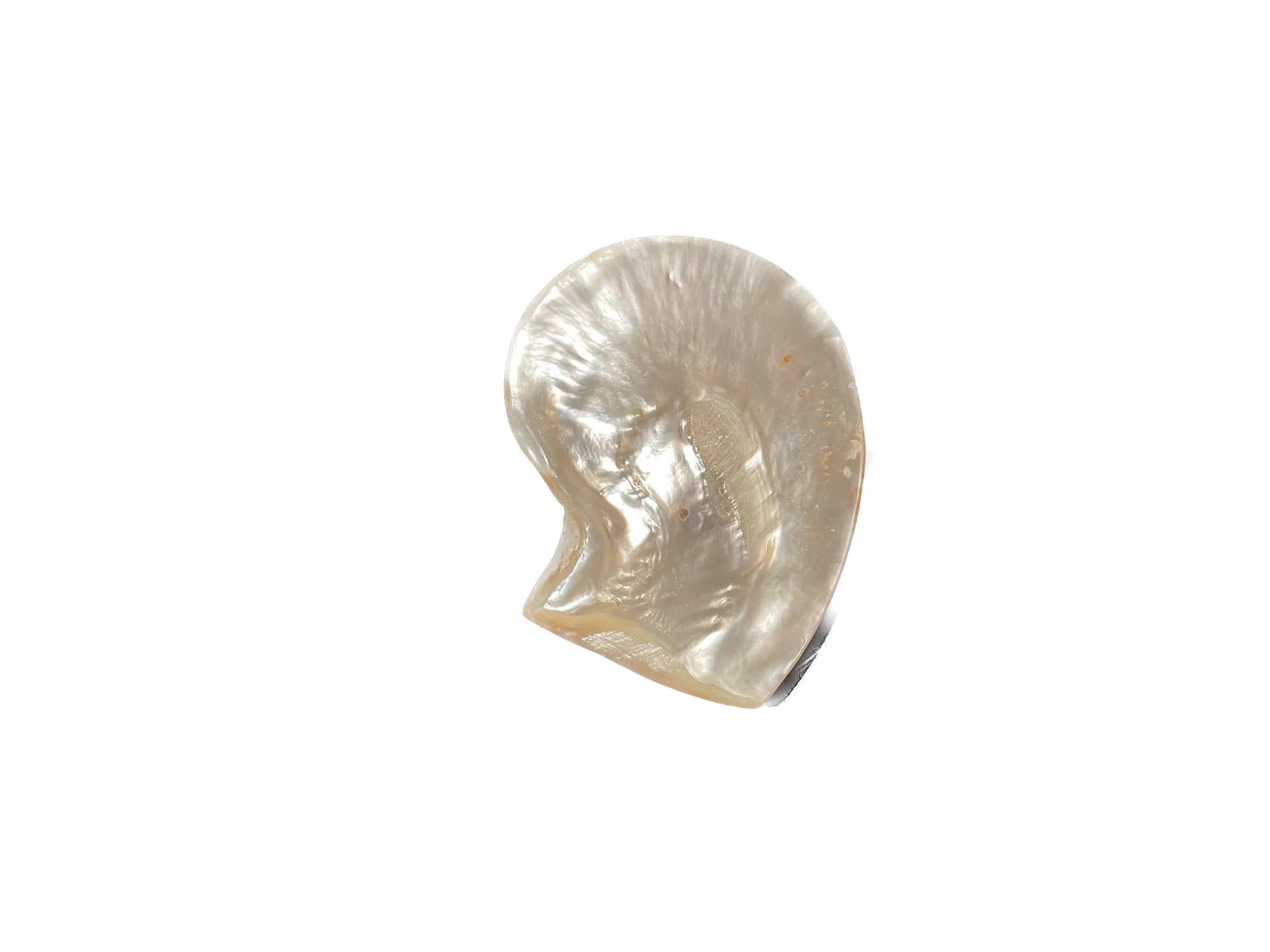 Mother of Pearl Caviar Dish