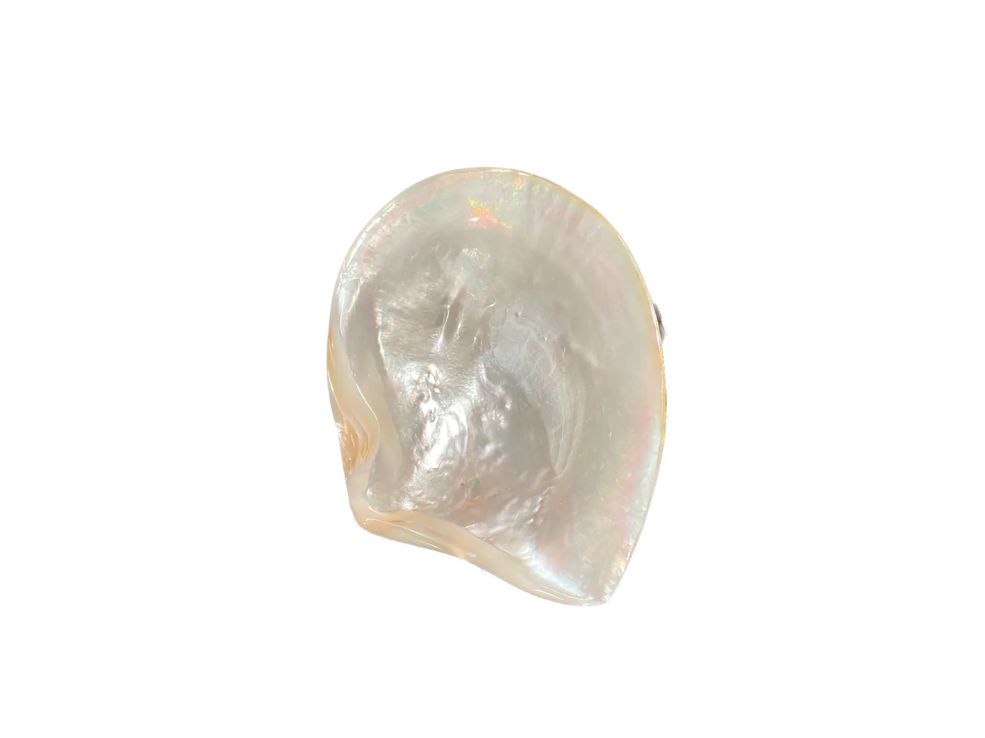 Mother of Pearl Caviar Dish
