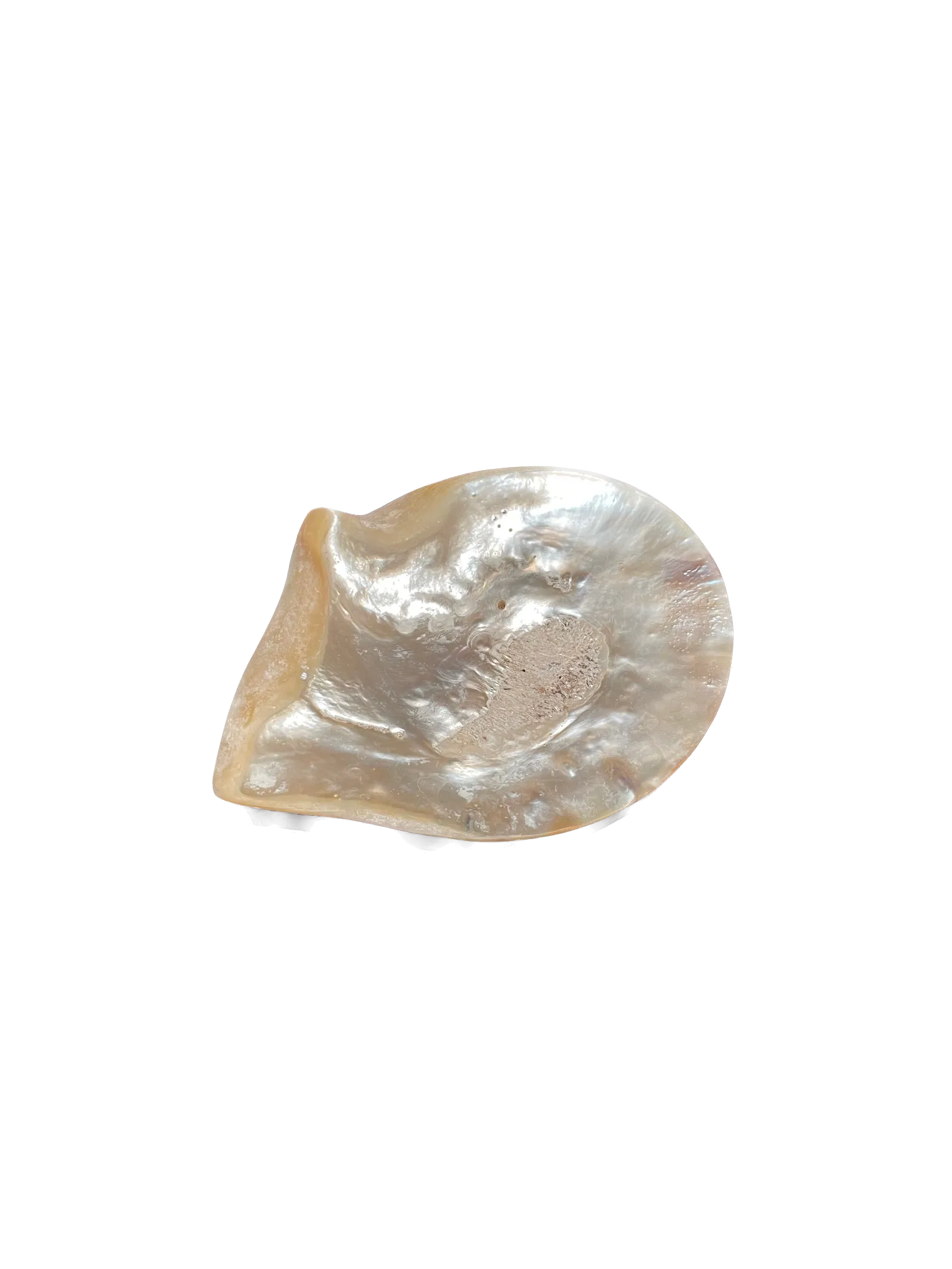 Mother of Pearl Caviar Dish