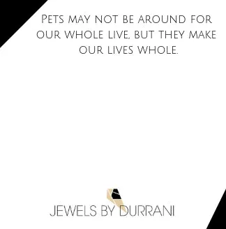 Personalized Pet Cuff
