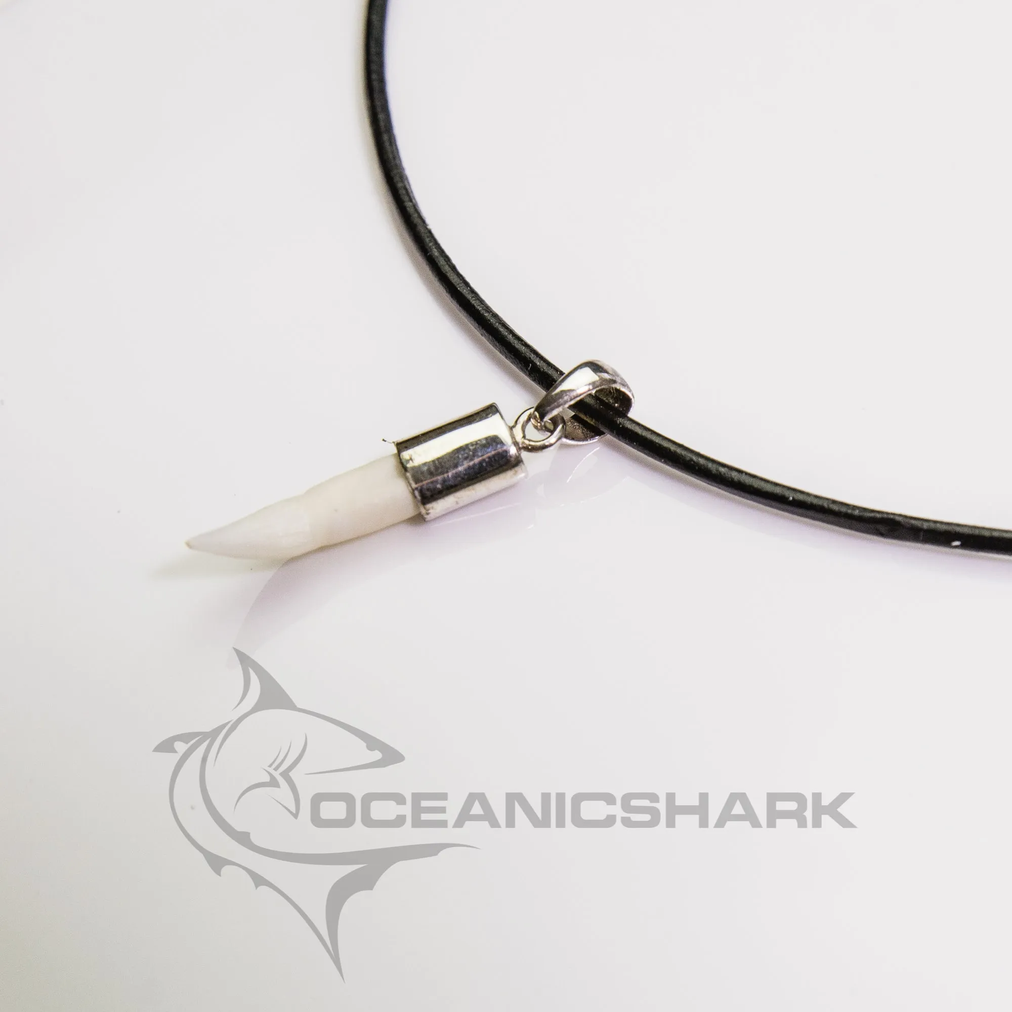 Real Crocodile Tooth Silver  s38