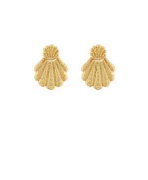 Shell Drop Earrings