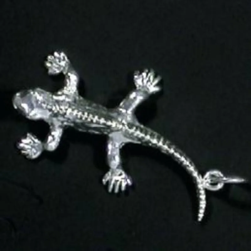 Sterling Silver Tuatara Charm